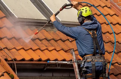 Démoussage et hydrofuge de toiture au Brusquet
